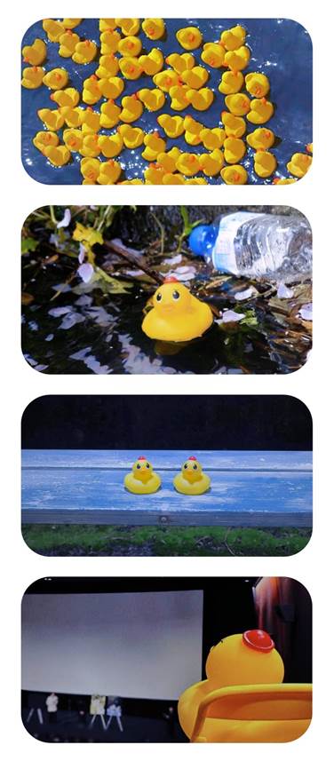 2232数媒 谈思圆 